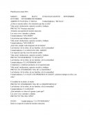 ¿Cómo es nuestra salita y los elementos que hay en ella?