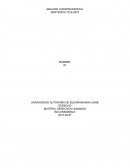 ANALISIS JURISPRUDENCIAL SENTENCIA T016 2007.