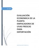 EVALUACION ECONOMICA DE EMPACADO DE UVAS.