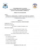 Plan de negocios de una empresa de jabones naturales.