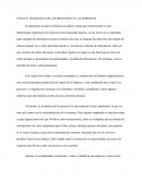 Ensayo: Incidencia de los procesos en las empresas