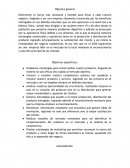 Establecer estrategias para comercializar nuestro producto, llegando de manera no solo eficaz sino rápida al mercado objetivo...