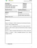 Análisis de la información financiera. Propuesta de solución del caso Helados Iceberg, ¿papa caliente?