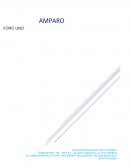 En primer lugar, para una mejor comprensión nos enfocaremos al concepto de Supremacía Constitucional.