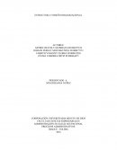 Estructura y diseño organizacional.