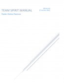 TEAM SPIRIT.