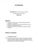 Ftosintesis