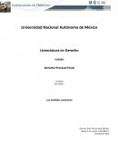 Medidas cautelares en el nuevo sistema penal acusatorio en México