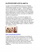 La evolución de la moda