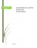 AUDIENCIA ANTE JUEZ DE CONTROL