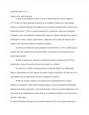 Informe empresa Molly