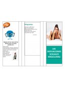 LAS DISFUNCIONES SEXUALES MASCULINAS