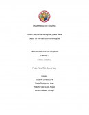 Laboratorio de Química Inorgánica Práctica 1