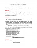 EXPLORACIÓN DE TÓRAX POSTERIOR.