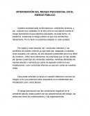 Intervension del riesgo psicosocial en el riesgo publico.