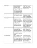 Somos la especie evolutiva.