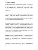 Planteacion pobreza en México.