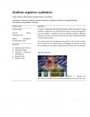 Análisis orgánico cualitativo.