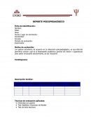 Reporte psicopedagogico.