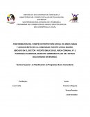 Comunidad CONFORMACIÓN DEL COMITÉ DE PROTECCIÓN SOCIAL DE NIÑOS, NIÑAS Y ADOLESCENTES EN LA COMUNIDAD VICENTE LECCIA MADRID, UBICADO EN EL SECTOR VICENTE EMILIO SOJO, ÁREA COMUNAL N° 5, PARROQUIA GUARENAS, MUNICIPIO AMBROSIO PLAZA DEL ESTADO BOLIVA