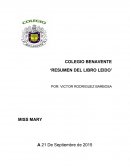 Resumen del libro la cabaña.