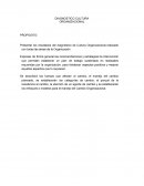 Diagnostico cultiral.