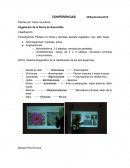 Efectos y propiedades.