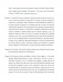 Comercialización de cafe.