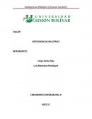 Inteligencias Multiples. CRECIMIENTO INTRAGRUPAL II