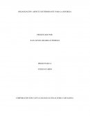 ORGANIZACIÓN: ASPECTO DETERMINANTE PARA LA SINERGIA