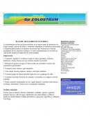 Plan de tratamiento naturista