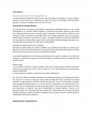 Gestión sustentable de la Energía Eléctrica