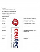 TRABAJO: PARADIGMAS TEORICOS DE LA SOCIOLOGIA.