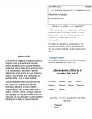 Tarea1 Introducción