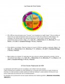 La replicación del ADN ocurre en la síntesis o en la fase S del ciclo celular.
