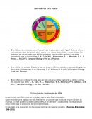 La replicación del ADN ocurre en la síntesis o en la fase S del ciclo celular.