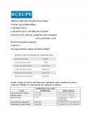 CASO PRÁCTICO: CONTROL DE GESTIÓN