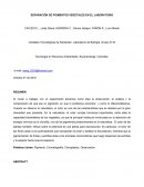 Practica pigmentos SEPARACIÓN DE PIGMENTOS VEGETALES EN EL LABORATORIO