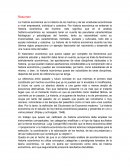 La historia económica estudia las vicisitudes económicas en el plano individual y colectivo