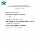 Tema: Elaboración del “Proceso de Atención Enfermero (PAE) y “Plan de Cuidados De Enfermería(PLACE)