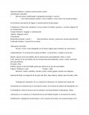 Situación didáctica: contamos nuestro propio cuento