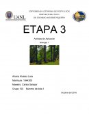 Actividad de aplicacion etapa 3 biologia 1
