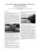 Control de Erosión y Sedimentos mediante la Tecnología de Sistemas Vetiver