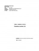 PROYECTOS EMPRESARIALES II