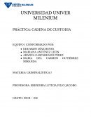Practica de cadena de custodia