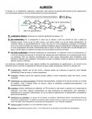 Almidon y almidones modificados