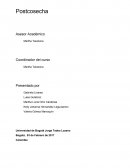 Nombrar 5 Productos hortofrutícolas en los que se ha investigado en Postcosecha.