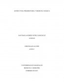 ESTRUCTURA PRESHISTORIA Y MEDICINA MÁGICA