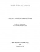 PREVENCIÓN DEL EMBARAZO EN ADOLESCENTES ¿Como prevenir el embarazo en los adolescentes de la vereda de Morca del municipio de Sogamoso?