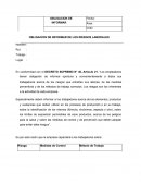 OBLIGACION DE INFORMAR DE LOS RIESGOS LABORALES.